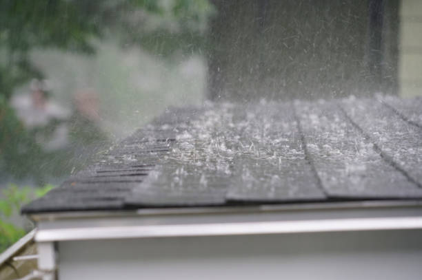 Fast & Reliable Emergency Roof Repairs in West Point, UT